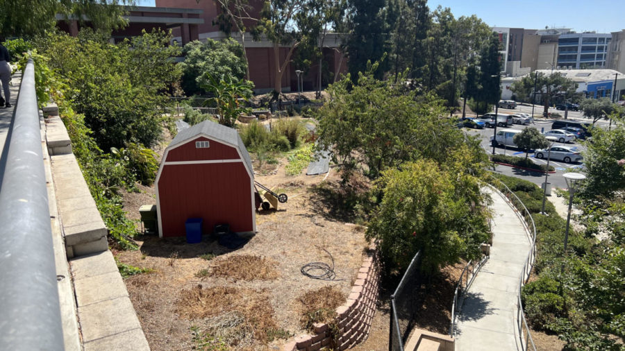Seeds@City is located next to parking lot 8. Photo by Kenneth Jaimes