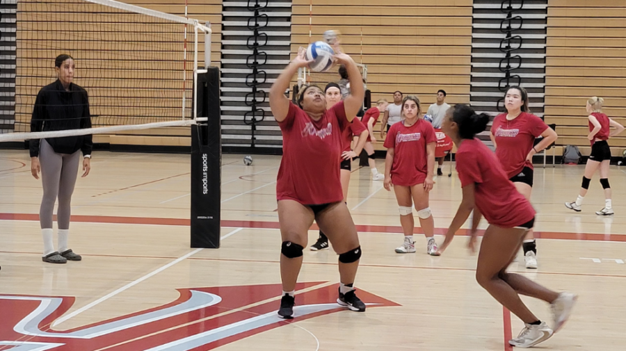 The San Diego City College women's volleyball team