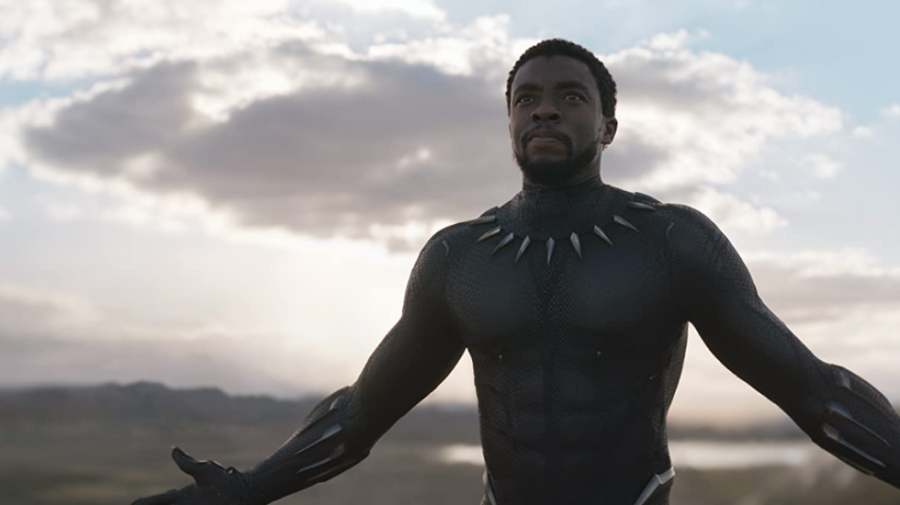 Chadwick Boseman in Black Panther (2018)